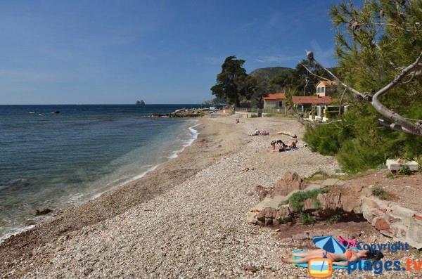 Loft Climatise "La Pinede", 50 M2, Tres Calme, 5 Mn A Pied Des Plages, Lit King Size La Seyne-sur-Mer Bagian luar foto