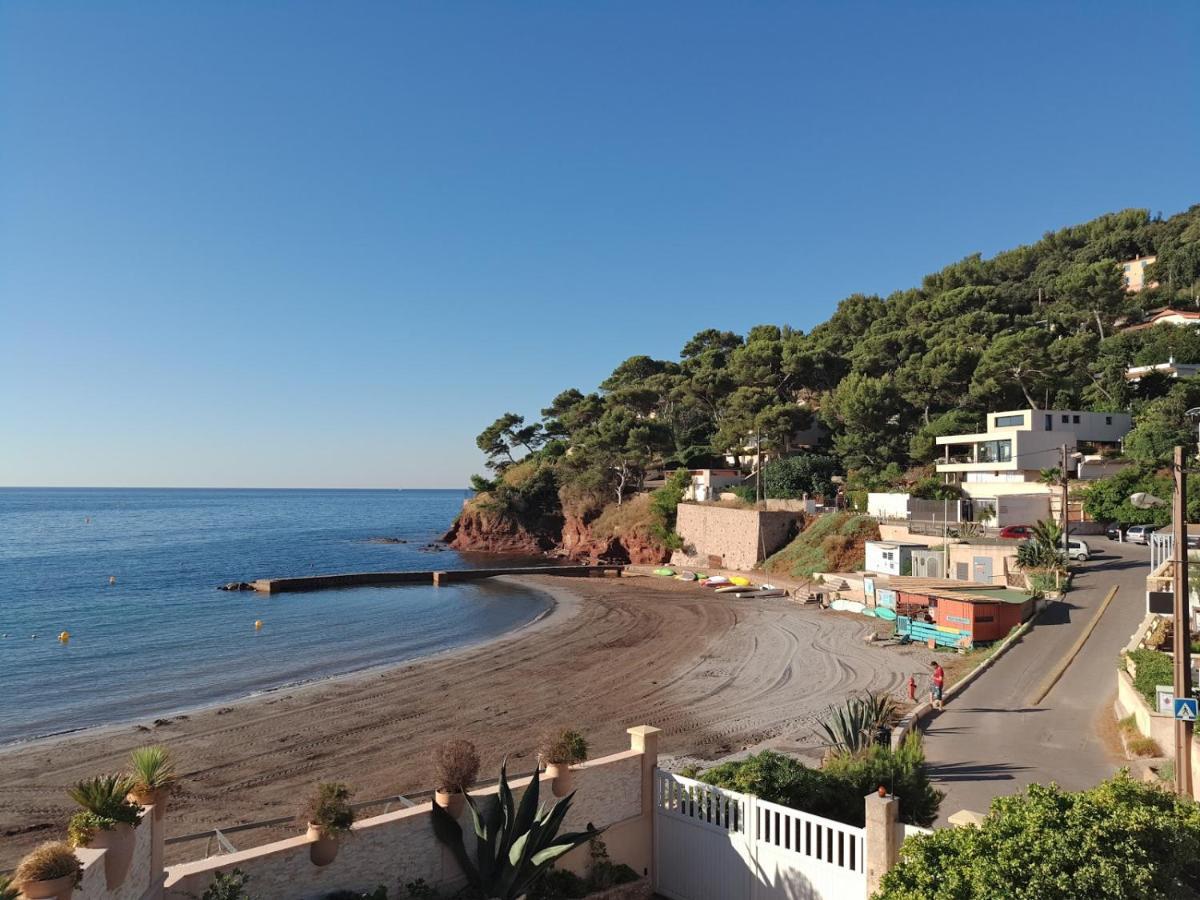 Loft Climatise "La Pinede", 50 M2, Tres Calme, 5 Mn A Pied Des Plages, Lit King Size La Seyne-sur-Mer Bagian luar foto